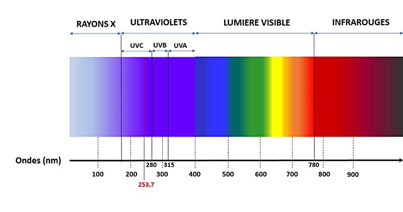 Spectre de lumière UV : UVC, UVA, UVB